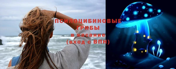 ALPHA PVP Белокуриха