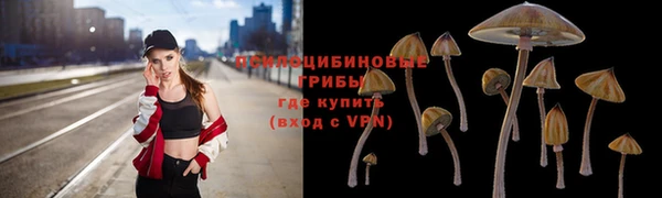 не бодяженный Богданович