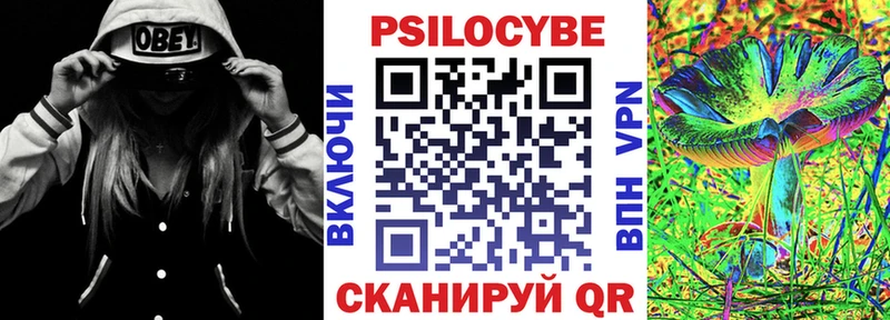 где можно купить   Борзя  Галлюциногенные грибы Cubensis 